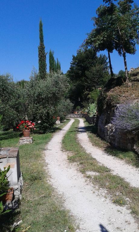 L'Antica Mola Villa Castel Madama Habitación foto